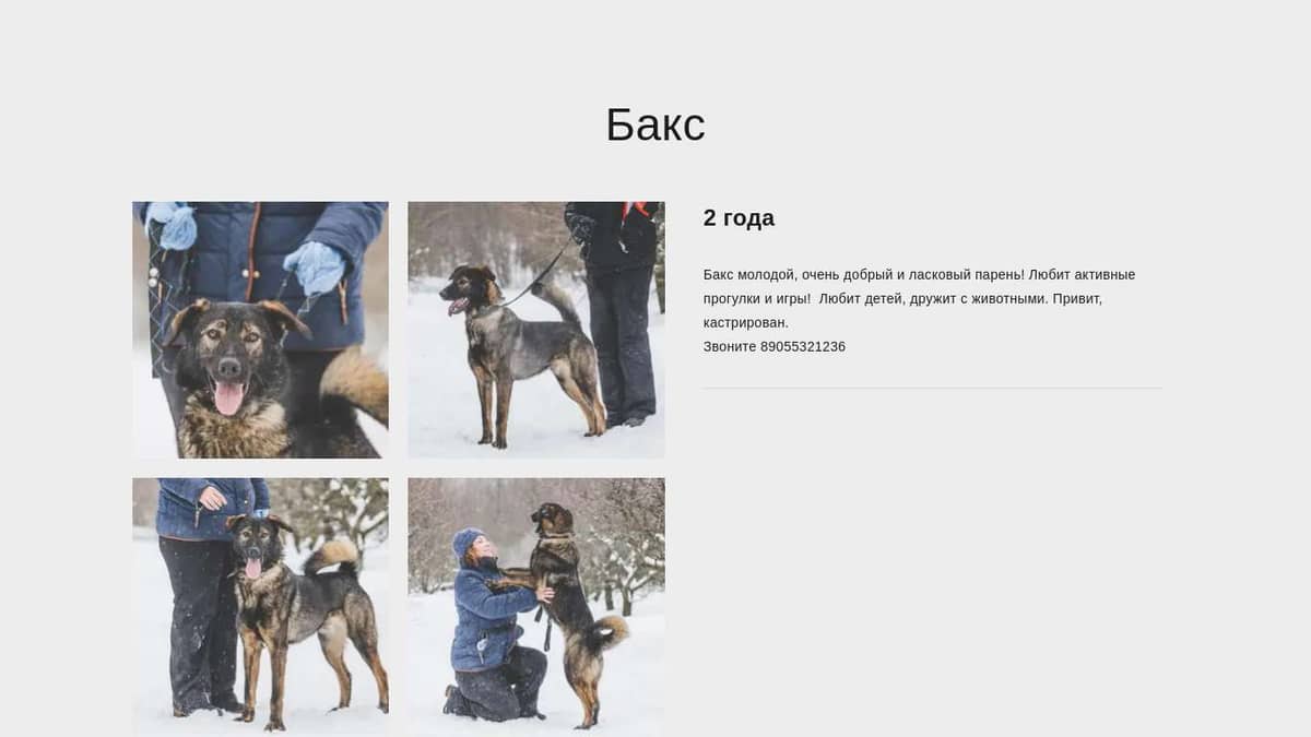 Бакс