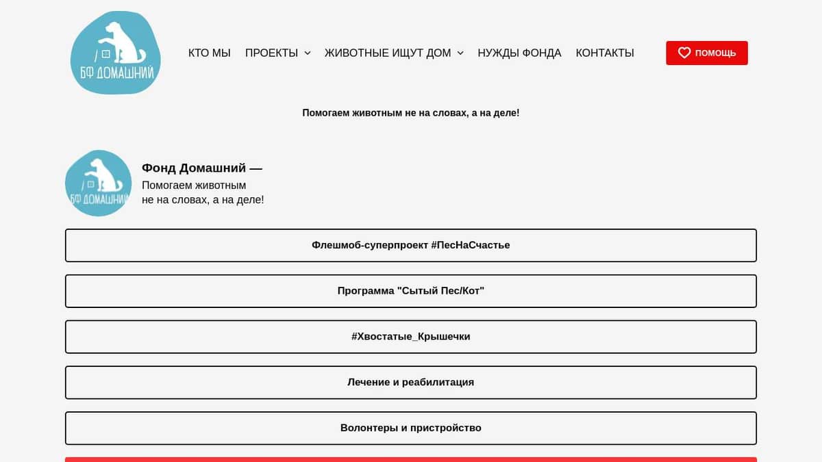 Приют Домашний - взять собаку из приюта, помощь бездомным животным